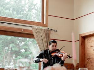 Laloviolin — foto 3