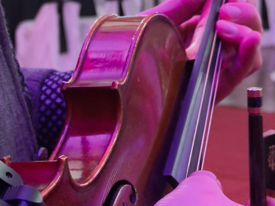 Foto 6 de Laloviolin - Música para Matrimonios