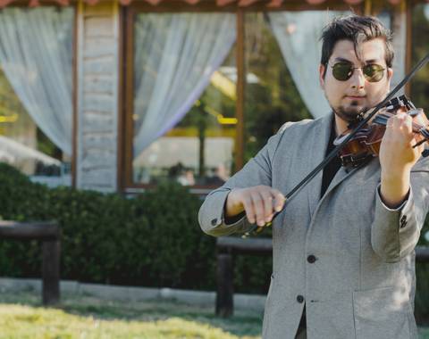 Laloviolin - Imagen 1