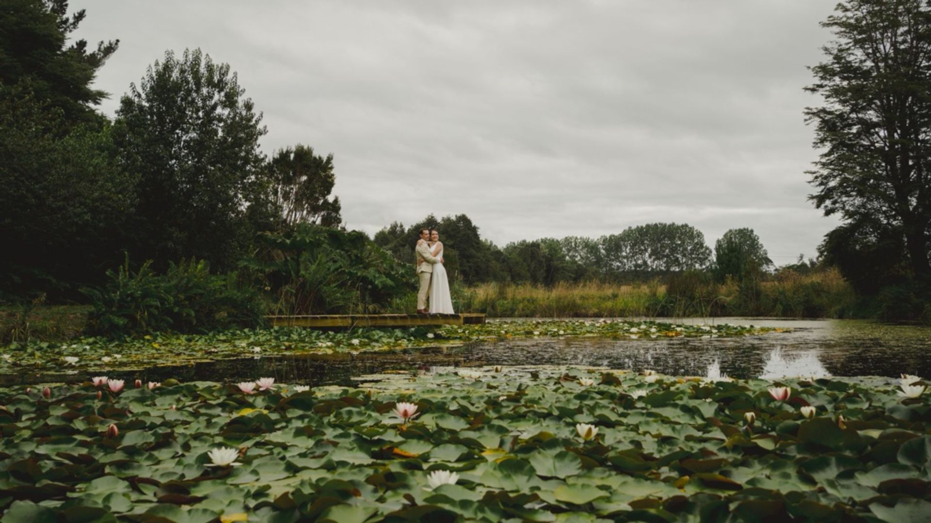 Marcela Angulo Fotografías - Fotógrafos de matrimonio en Weddy