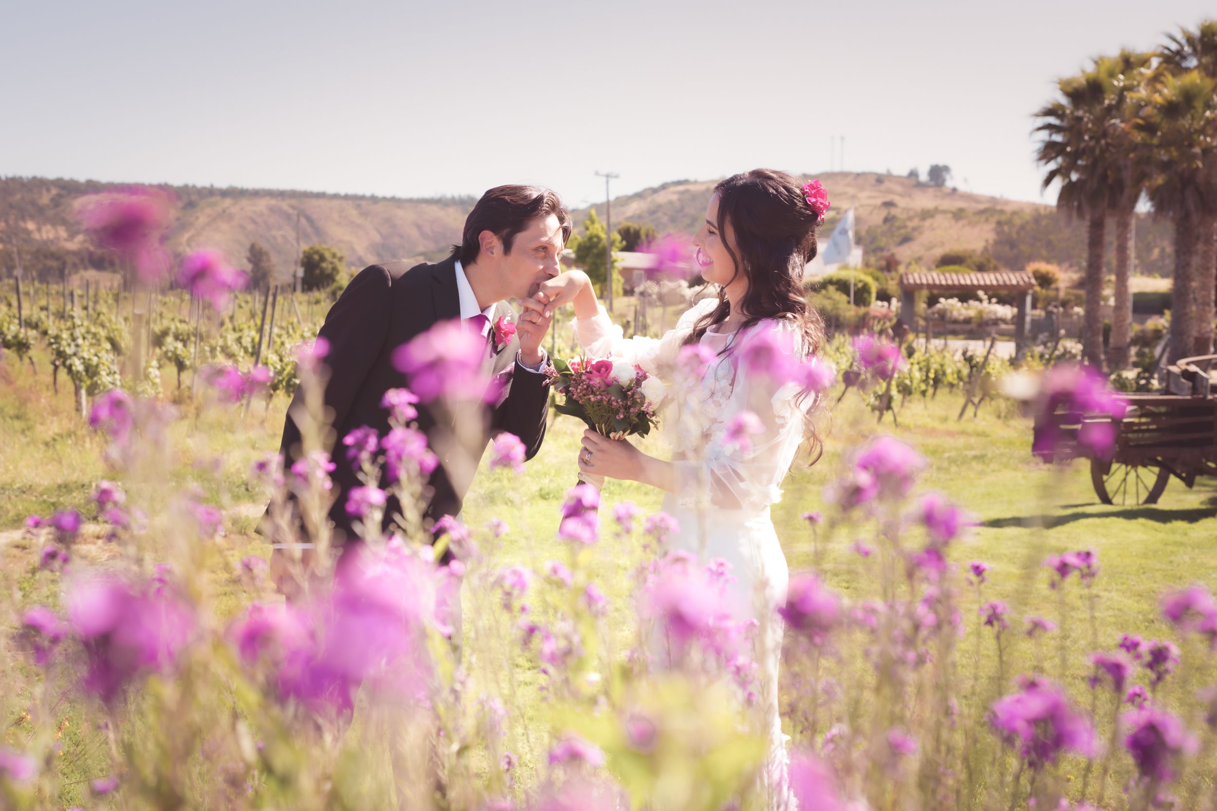 Alef Producciones - Imagen 1