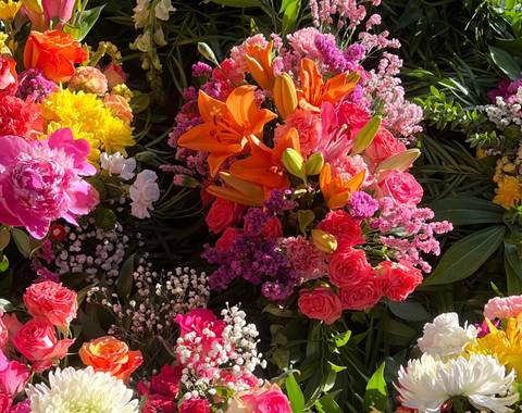 Flores Antivero SpA - Imagen 1