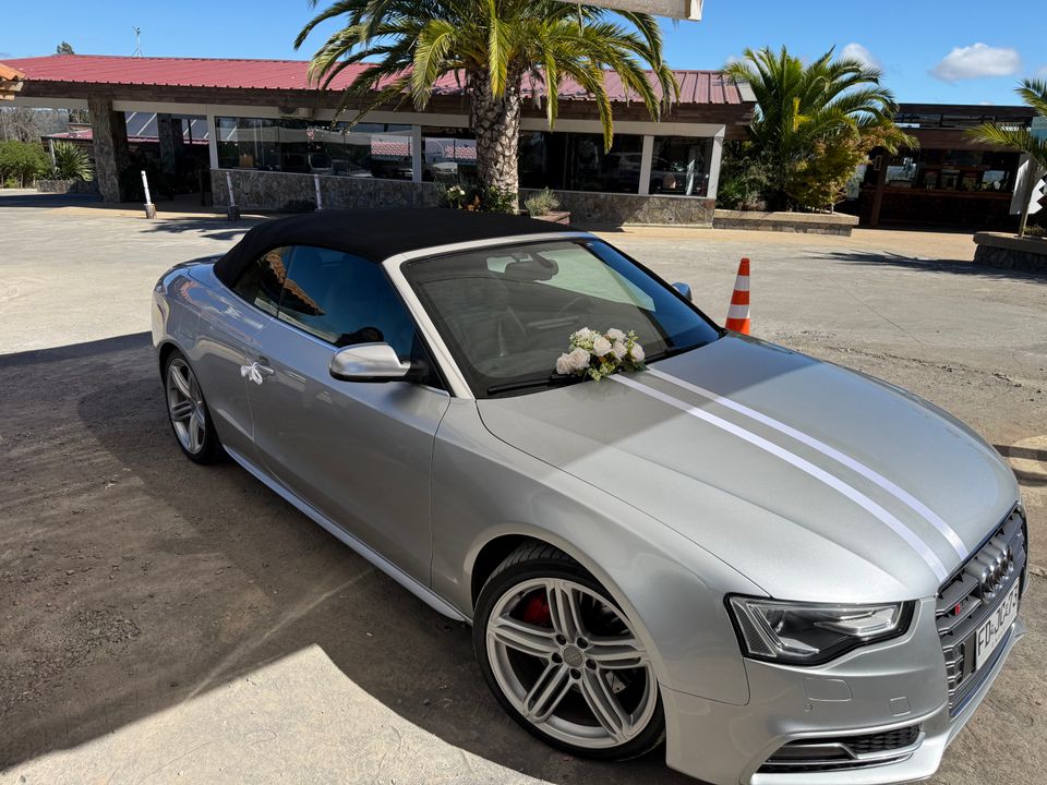 Foto 11 de Audi Novios - Autos para Matrimonios