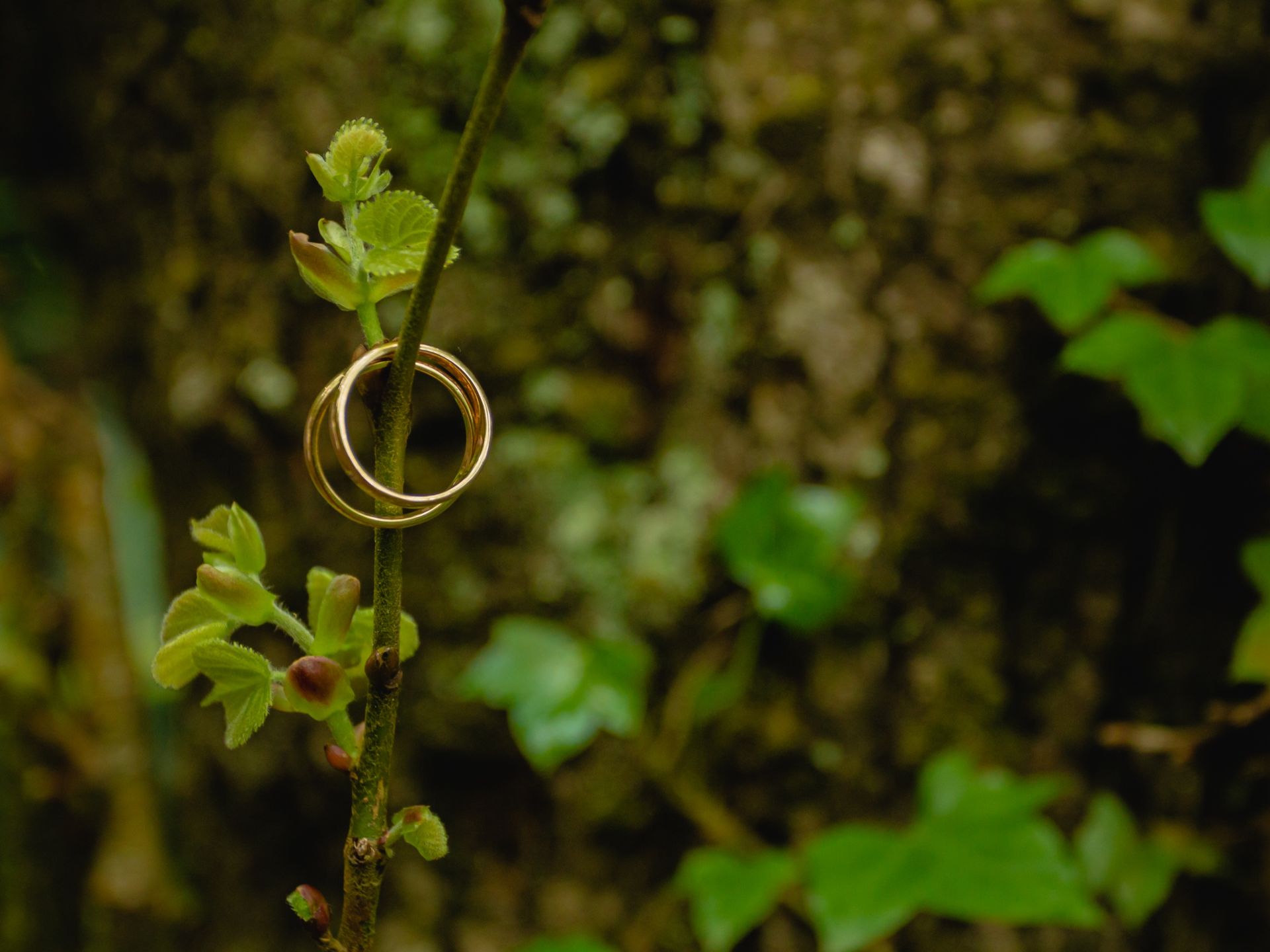Jorge Viloria Fotógrafo - Fotógrafos de matrimonio en Weddy