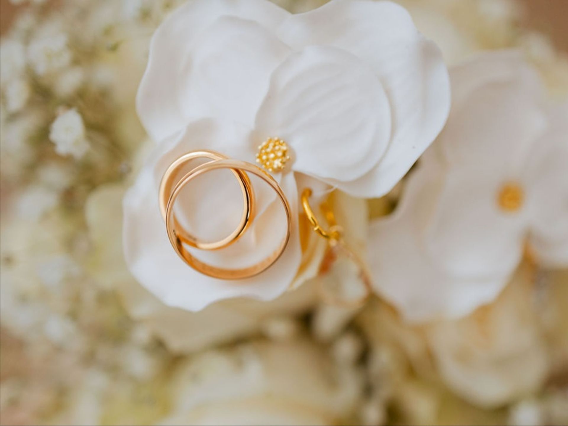 Foto 1 de mcusevich fotografia - Fotógrafos de matrimonio