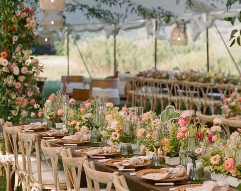 Banqueteri Gourmet growth partners - Imagen 1
