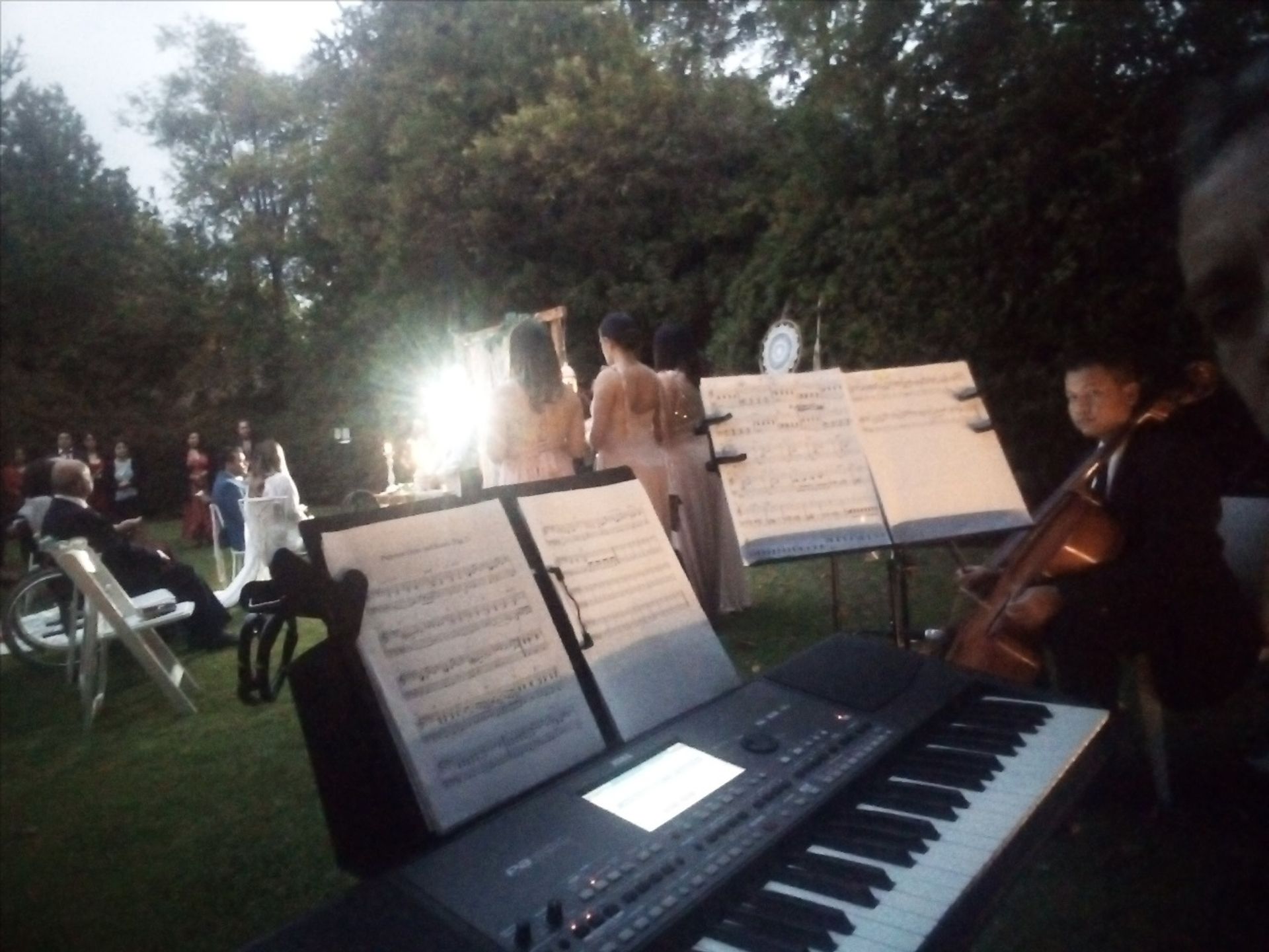 Foto 1 de Aurum Music - Música para Matrimonios