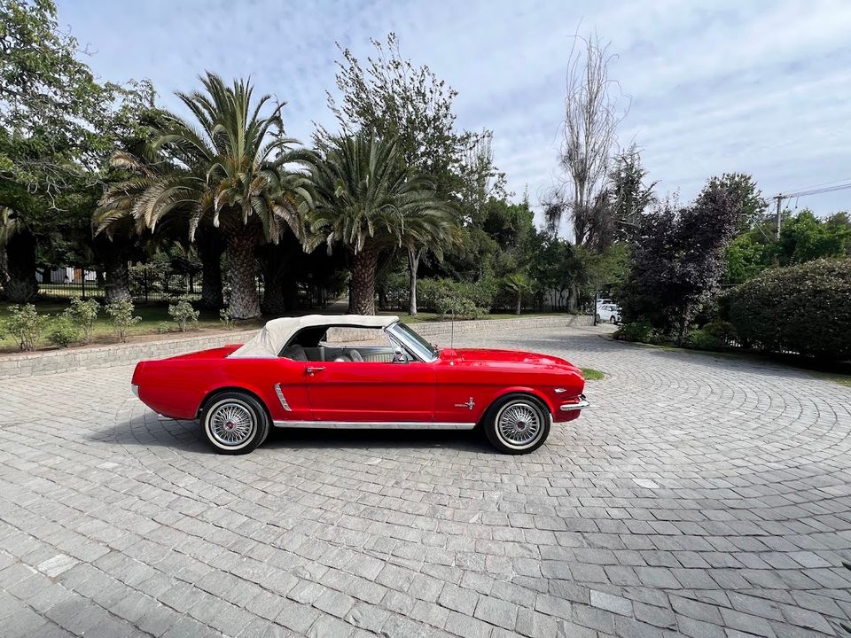 Foto 7 de DescubreTuAuto - Autos para Matrimonios