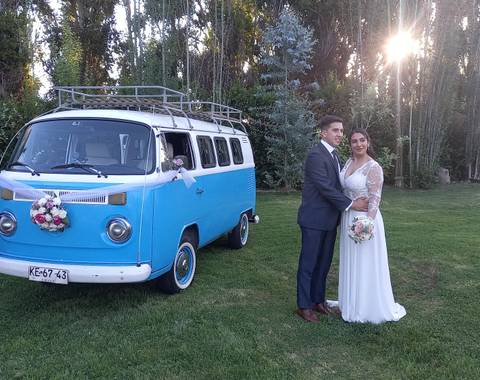 Escarabajos Para Matrimonios - Imagen 1