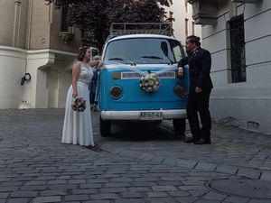 Escarabajos Para Matrimonios — foto 4