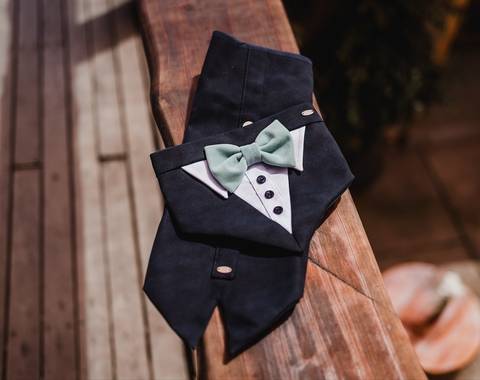 waudogshop - Imagen 1