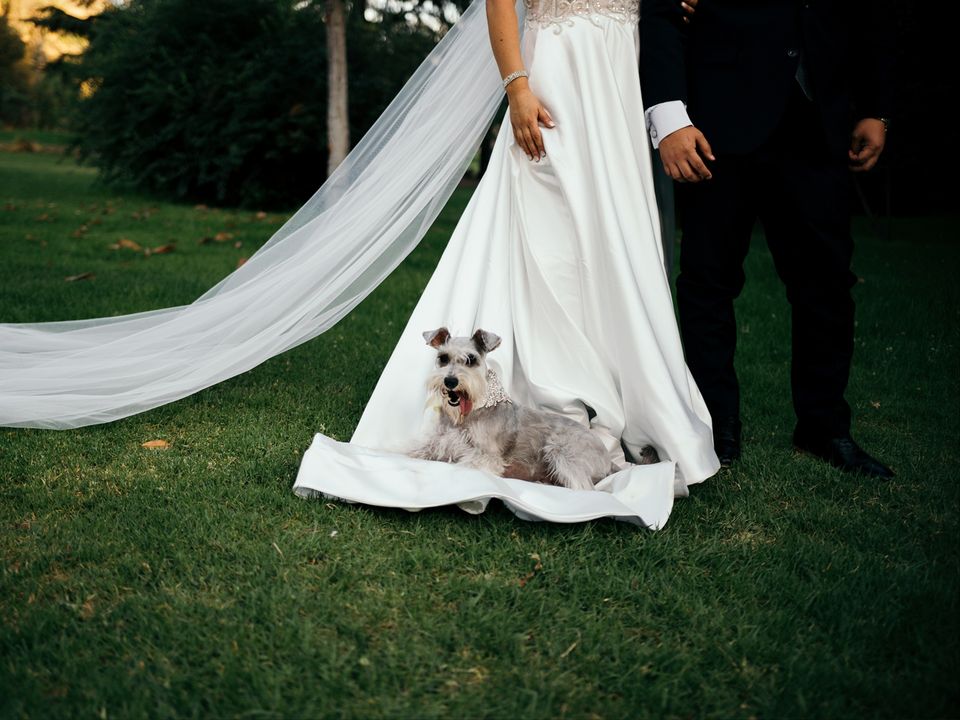 Foto 11 de Bodafilmscl - Fotografia & video - Fotógrafos de matrimonio