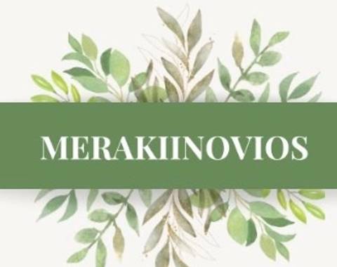 MerakiiNovios - Imagen 1