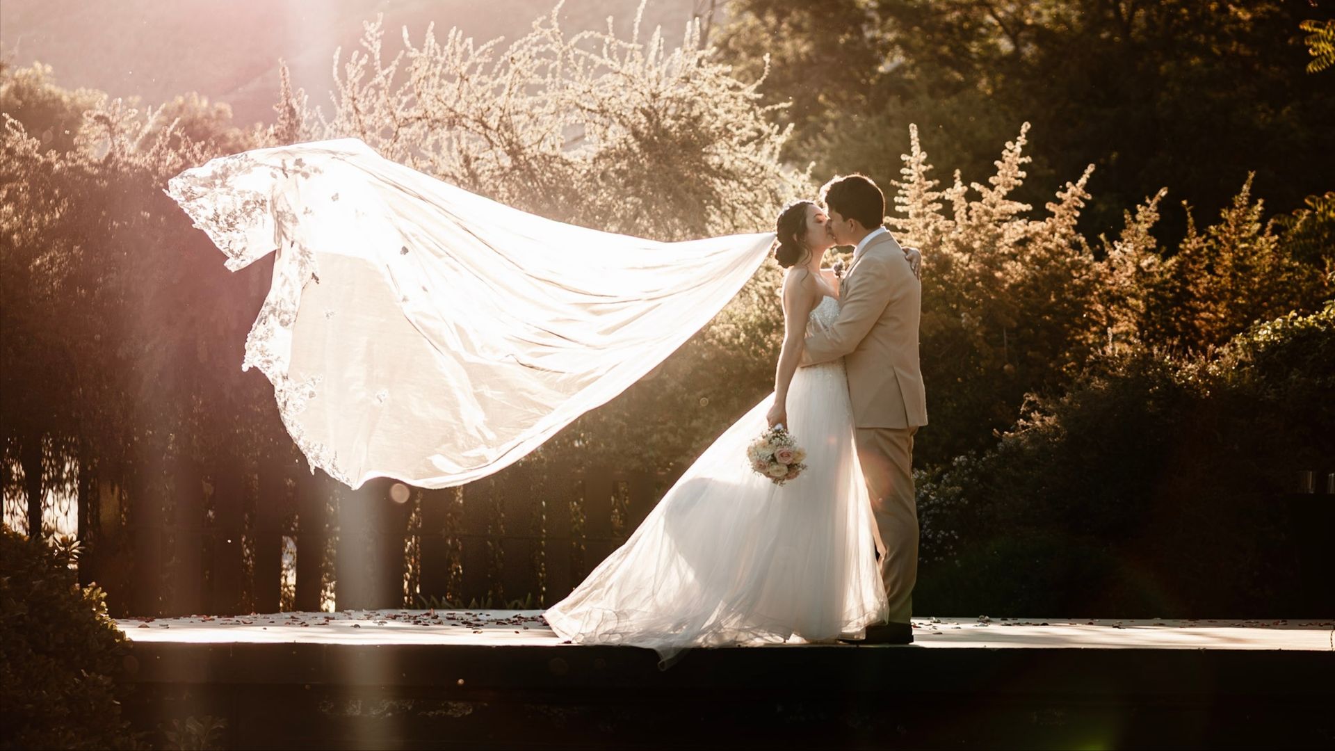 ViMont Fotografia y Video - Fotógrafos de matrimonio en Weddy