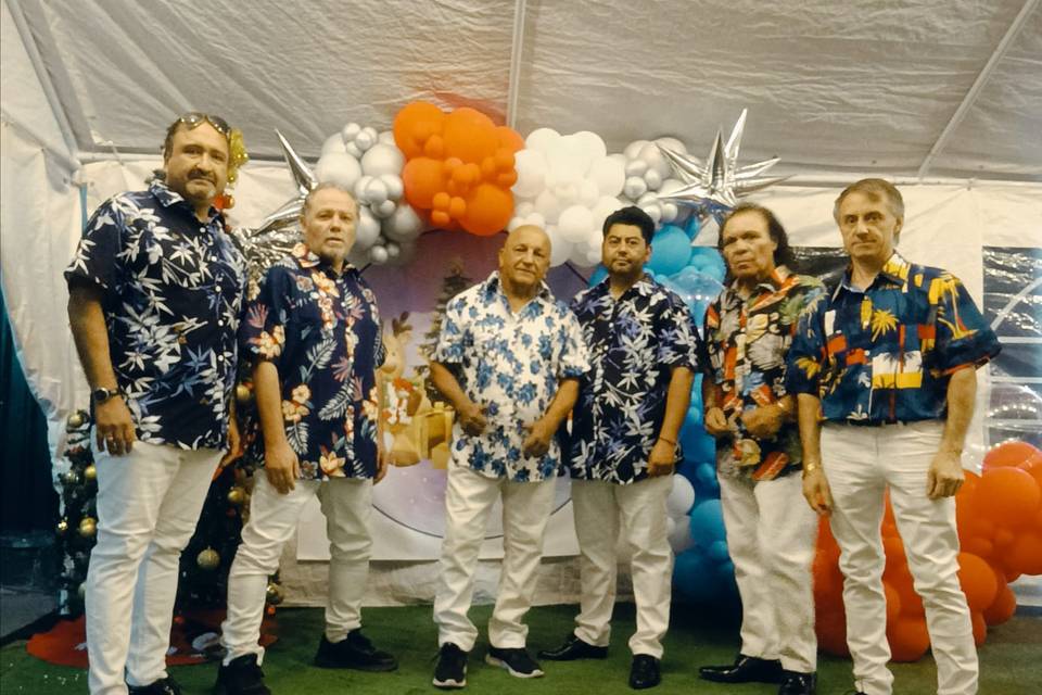 orquesta banda show - Imagen 1