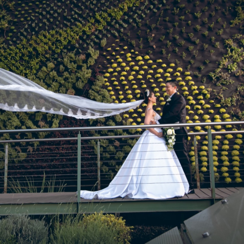 Logo de Hotel Intercontinental