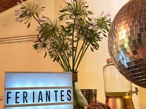 Feriantes Chile — foto 5
