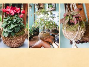 TEFITI MAHINA — foto 3