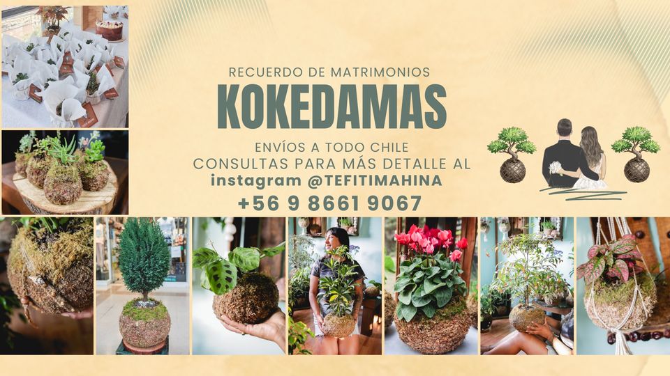 TEFITI MAHINA - Recuerdos para Matrimonios en Weddy
