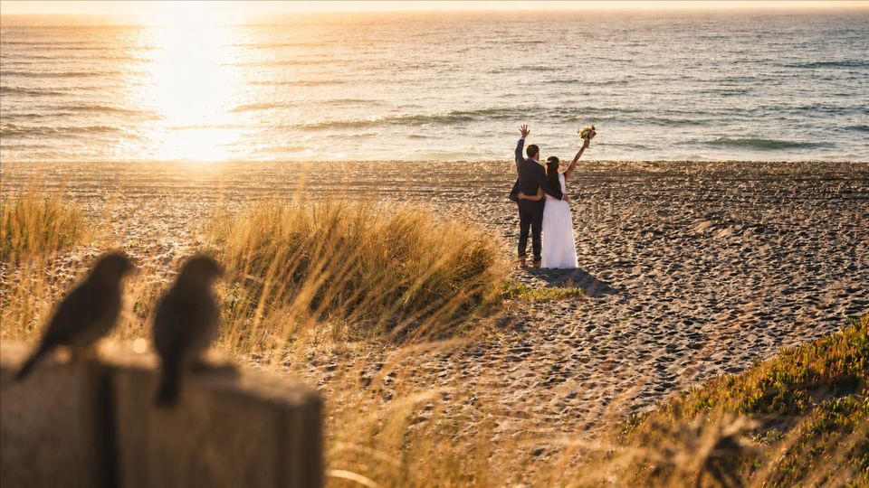 Fotonovios - Fotógrafos de matrimonio en Weddy