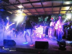 Orquesta ProBanda — foto 4