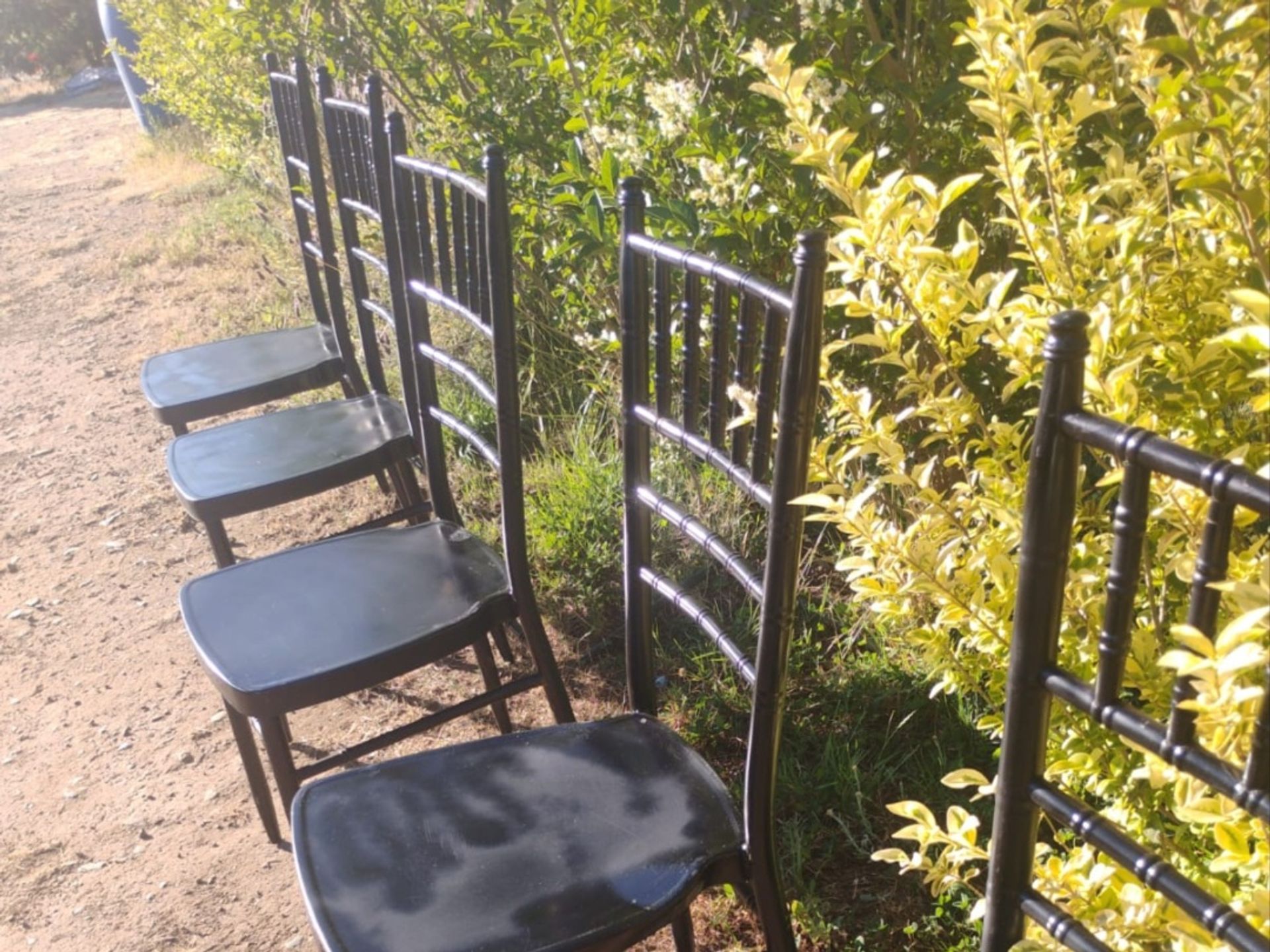 Foto 1 de Arriendo Sillas Chiavari - Arriendo de Mobiliario y Equipamiento