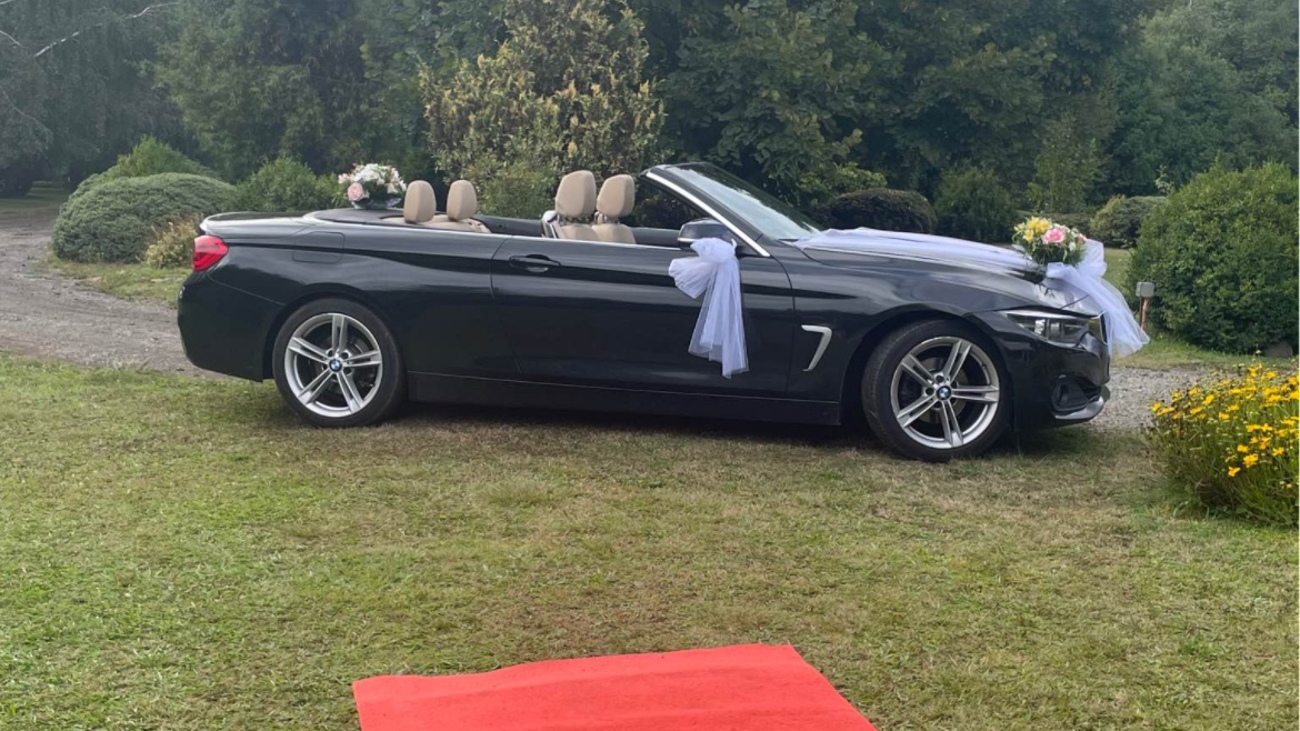 Mi empresa - Autos para Matrimonios en Weddy