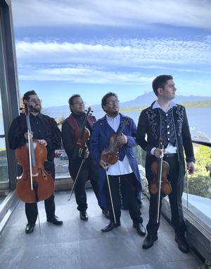Frutillar Streichquartett — foto 3