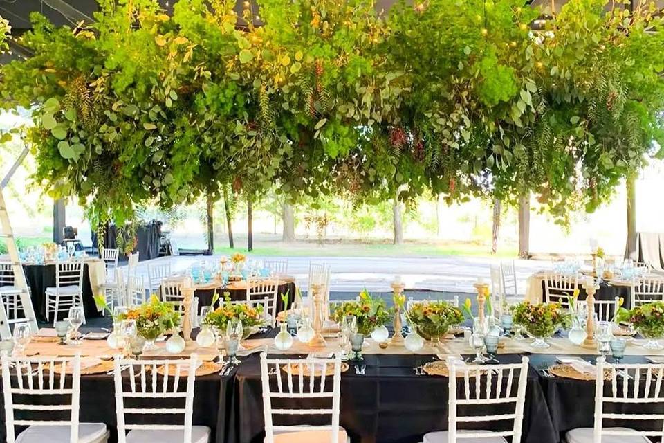 Eventos Ahumada - Imagen 1