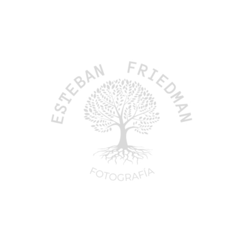 Logo de ESTEBAN FRIEDMAN