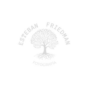 Logo de ESTEBAN FRIEDMAN