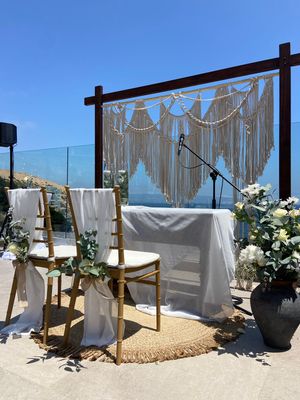 Thalassus — foto 4