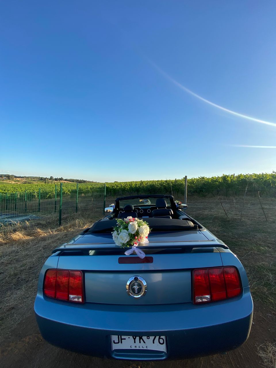 Foto 6 de Auto novios Mustang Chillan - Autos para Matrimonios