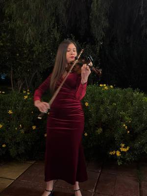 Foto 1 de Ale Violinista - Música para Matrimonios