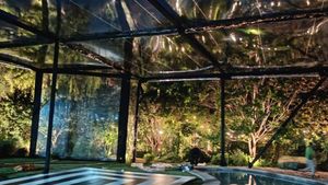 Carpas EXPRESS — foto 3