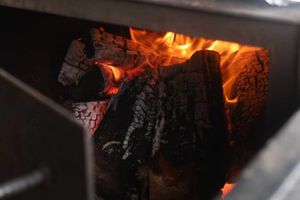 Humos campestres — foto 3