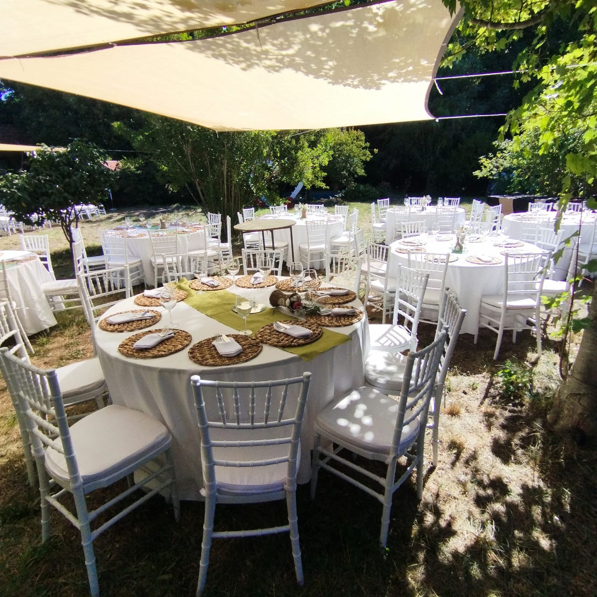 Foto 1 de Catalina Esperguel-Wedding Planner - Wedding Planner para Matrimonios