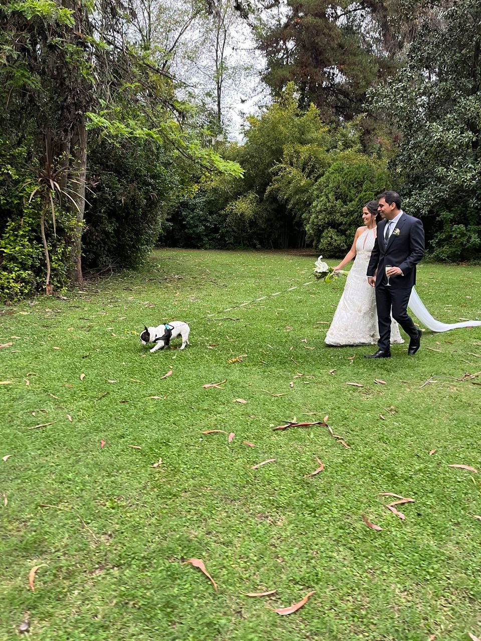 Foto 9 de Belepetsitter - Recuerdos para Matrimonios