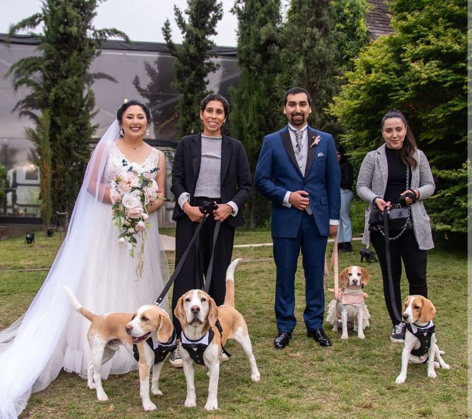Foto 6 de Belepetsitter - Recuerdos para Matrimonios