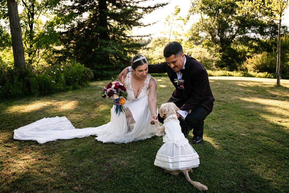 Foto 11 de Belepetsitter - Recuerdos para Matrimonios