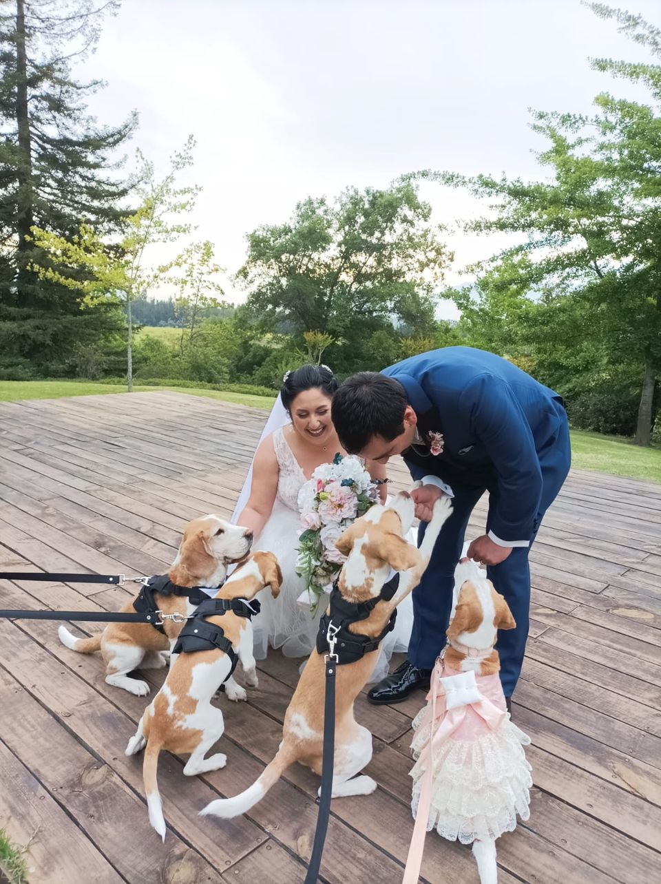 Foto 4 de Belepetsitter - Recuerdos para Matrimonios