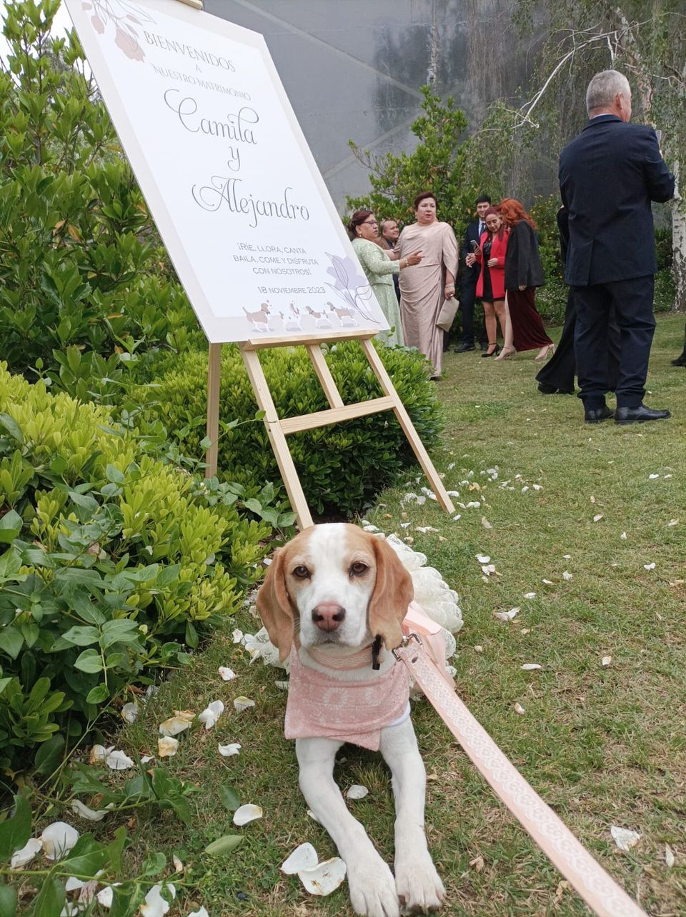 Foto 7 de Belepetsitter - Recuerdos para Matrimonios
