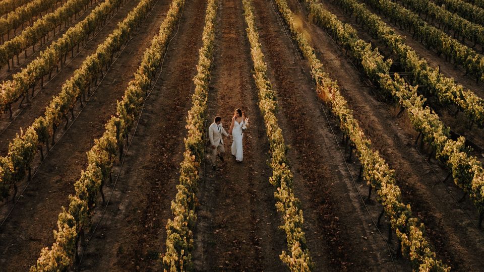Hotel Viña La Playa - Valle de Colchagua - Lugares para matrimonio en Weddy