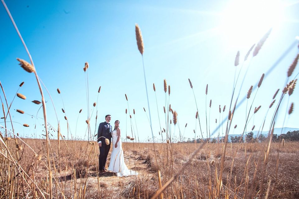 Foto 5 de Felipe Quintana - Fotógrafos de matrimonio