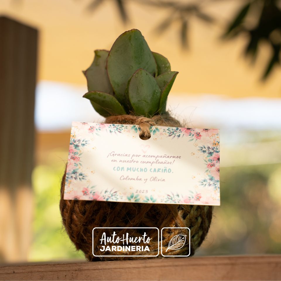 Foto 4 de AUTOHUERTO - Recuerdos para Matrimonios