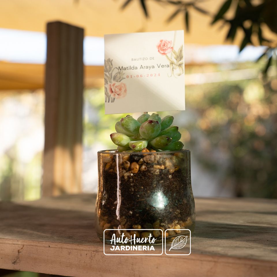 Foto 5 de AUTOHUERTO - Recuerdos para Matrimonios