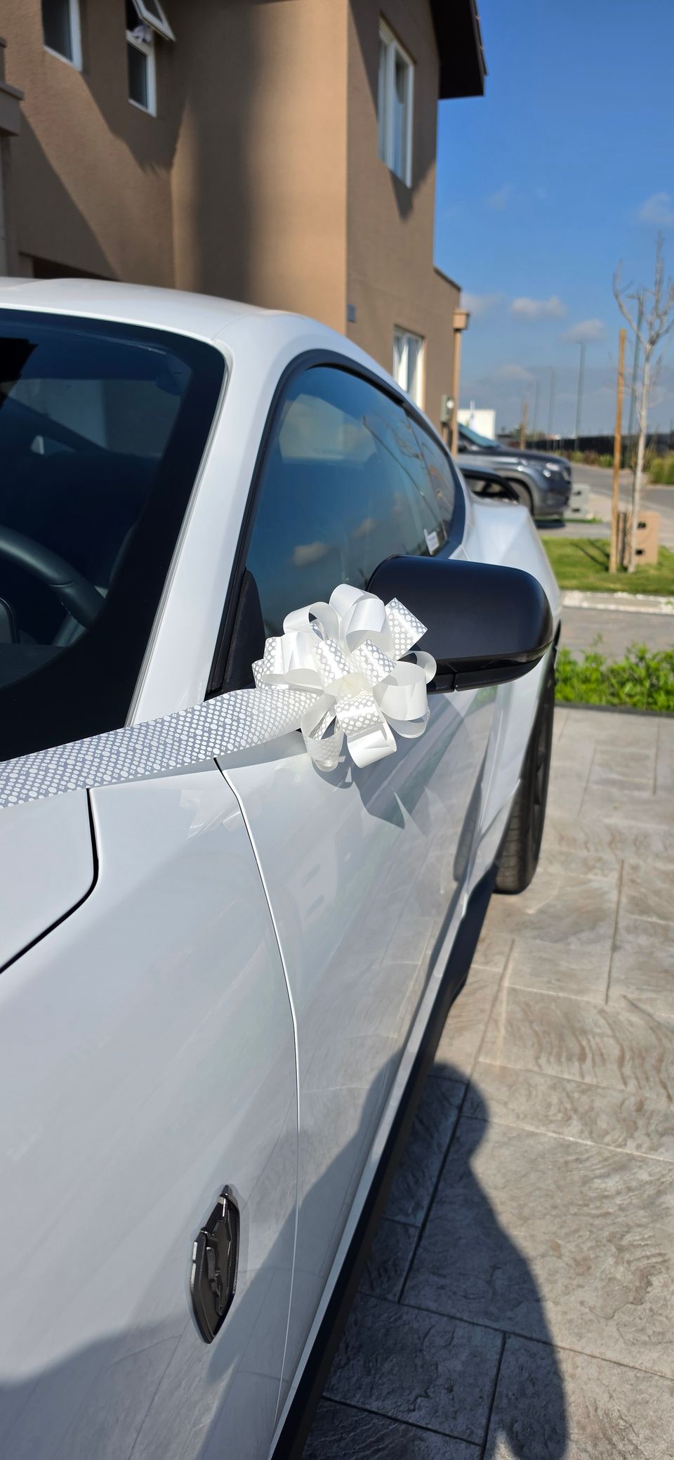 Foto 9 de Matrihorse - Autos para Matrimonios