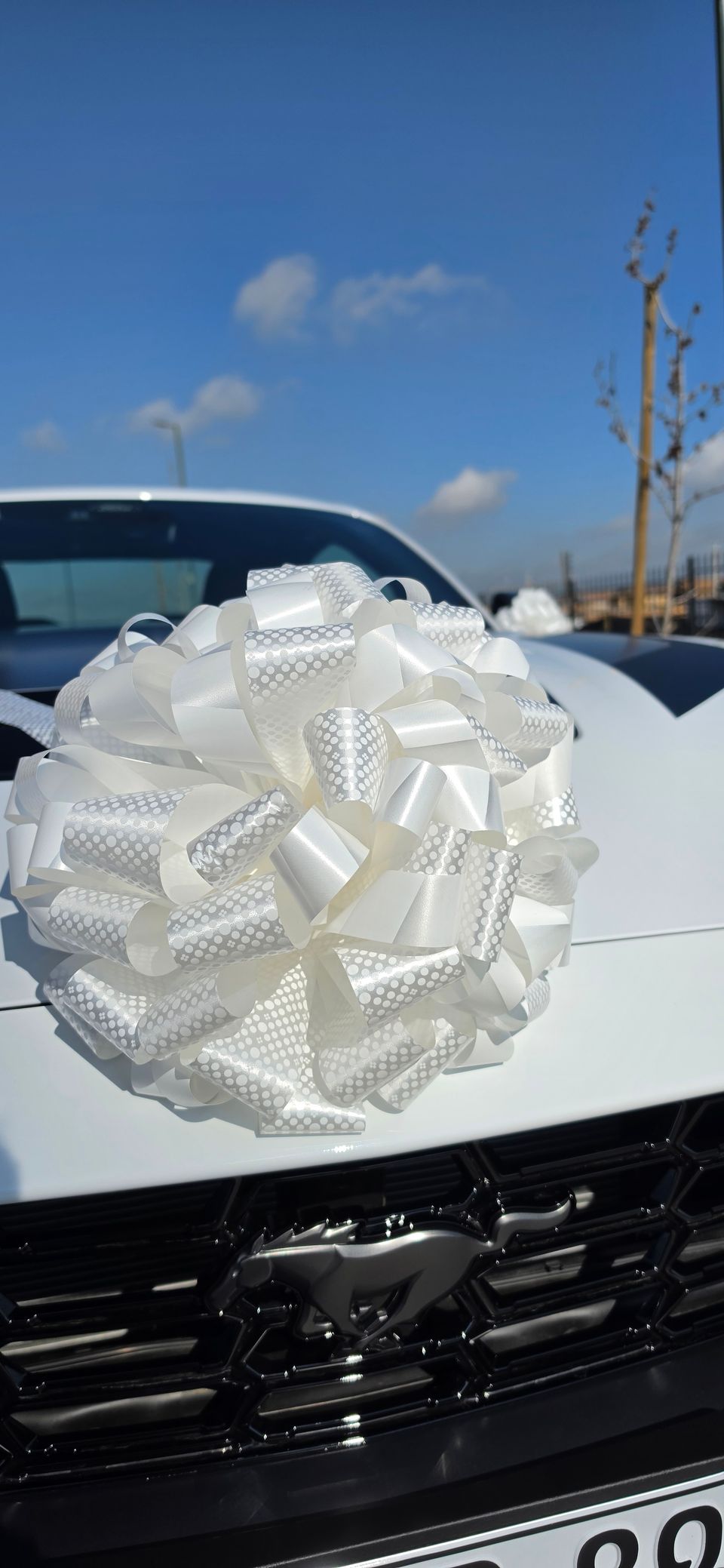 Foto 6 de Matrihorse - Autos para Matrimonios