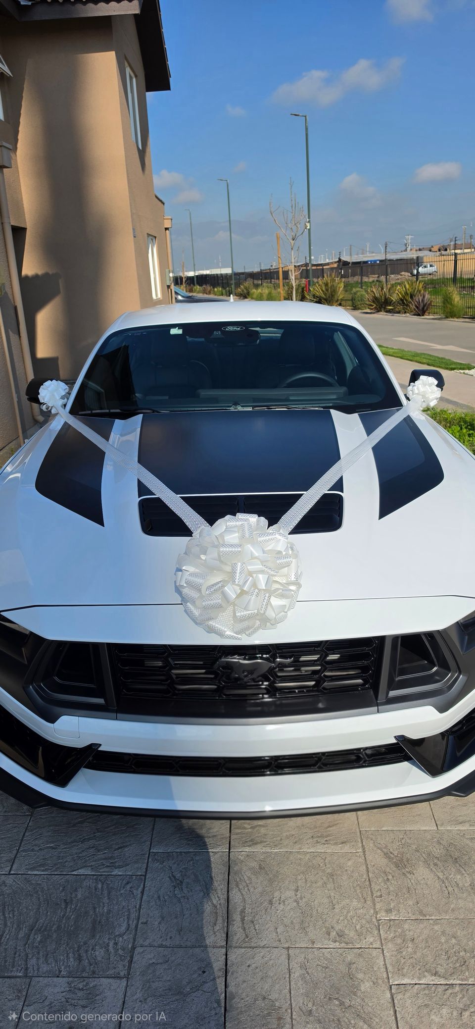 Foto 10 de Matrihorse - Autos para Matrimonios