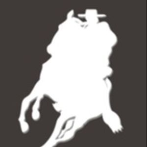 Logo de Puro Caballo